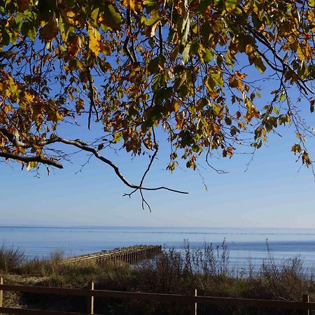 Ystad Camping Bagian luar foto