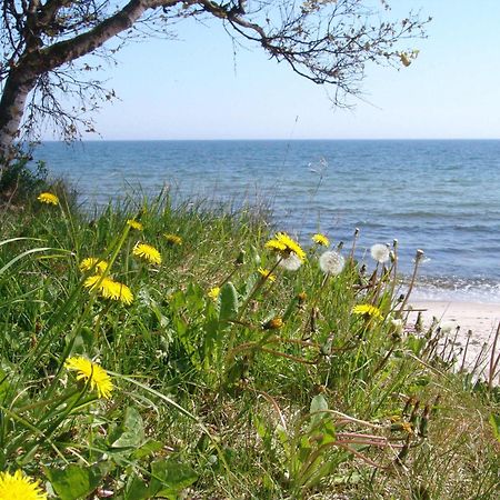 Ystad Camping Bagian luar foto