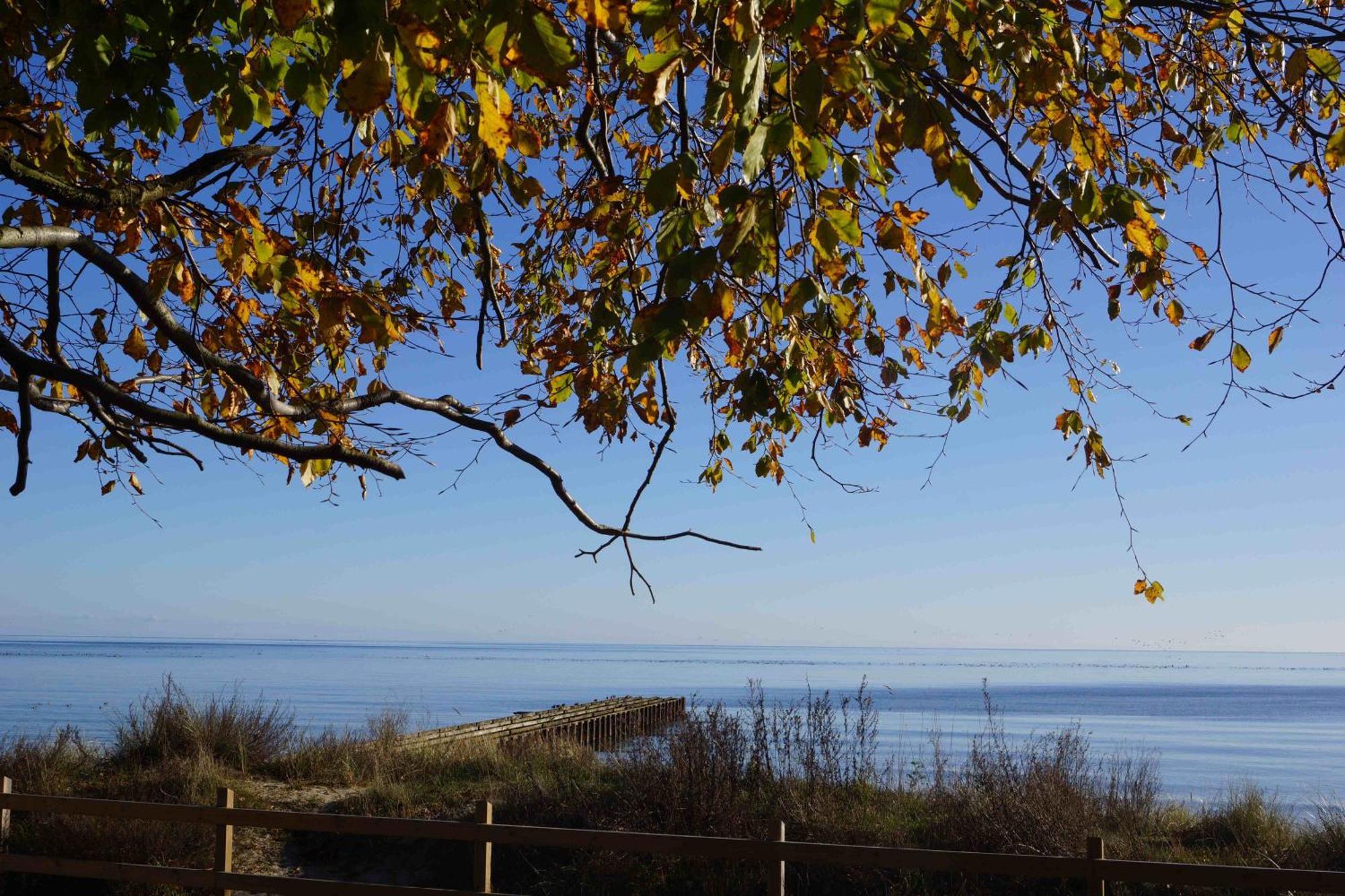 Ystad Camping Bagian luar foto