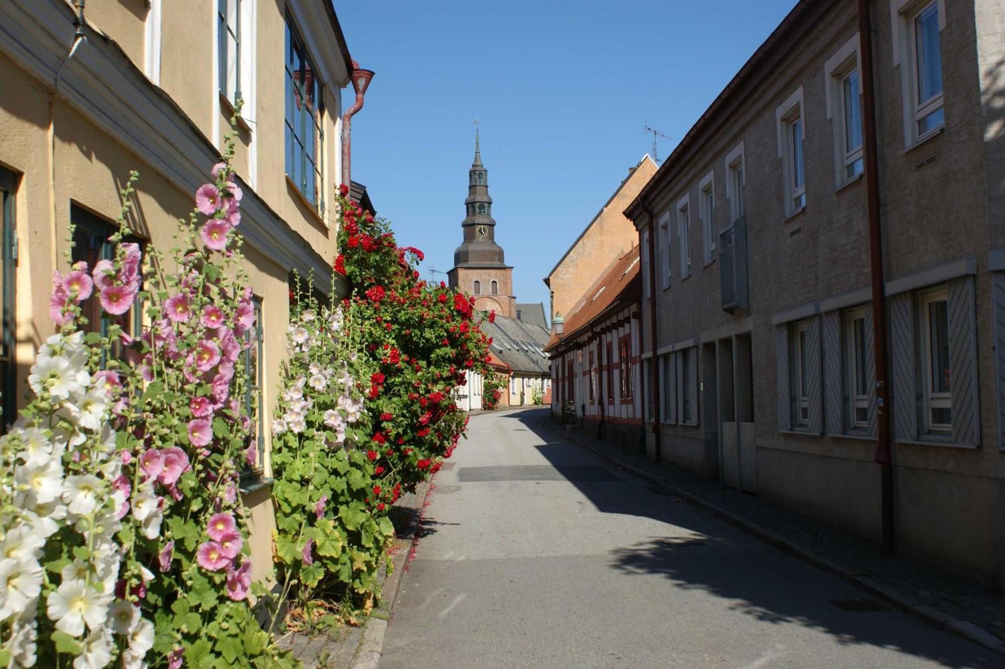 Ystad Camping Bagian luar foto